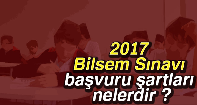 2017 bilsem sınavı