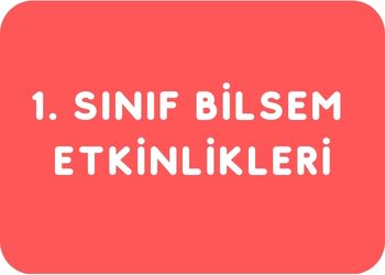 1. Sınıf Bilsem Etkinlikleri