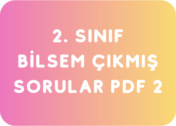 2-sinif-bilsem-cikmis-sorular-pdf-2