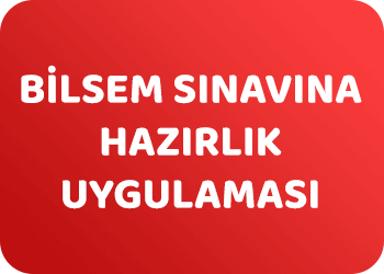 bilsem sinavina hazirlik uygulamasi