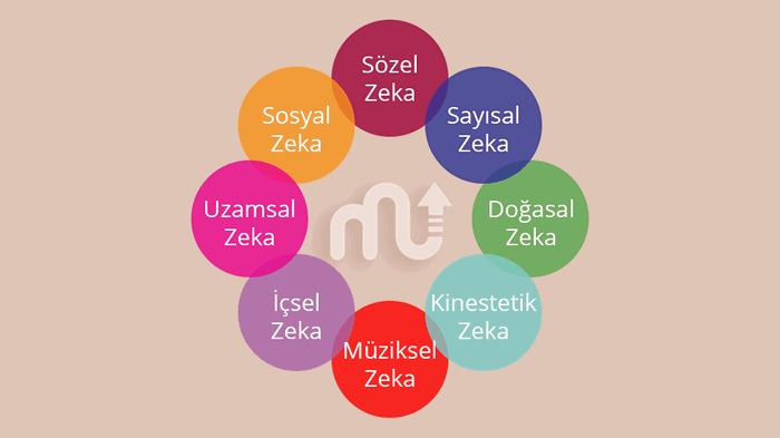 Icsel Zeka Nedir Nasil Gelistirilir En Uygun Meslekler Mentalup