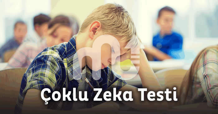 Çoklu Zeka Testi