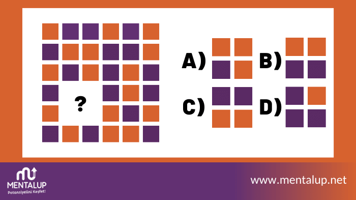 gorsel-zeka-sorulari-27