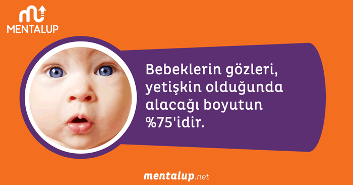 Bebeklerin gözleri büyür mü
