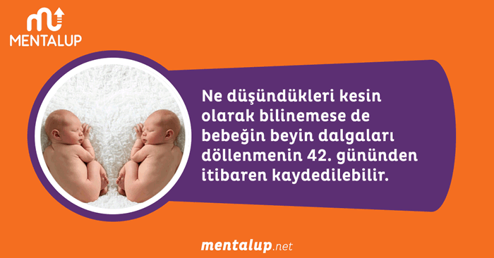 Bebekler düşünebilir mi