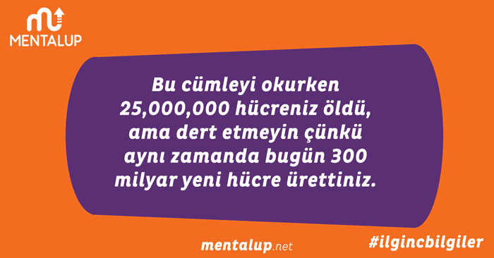 beyin günde kaç hücre üretir