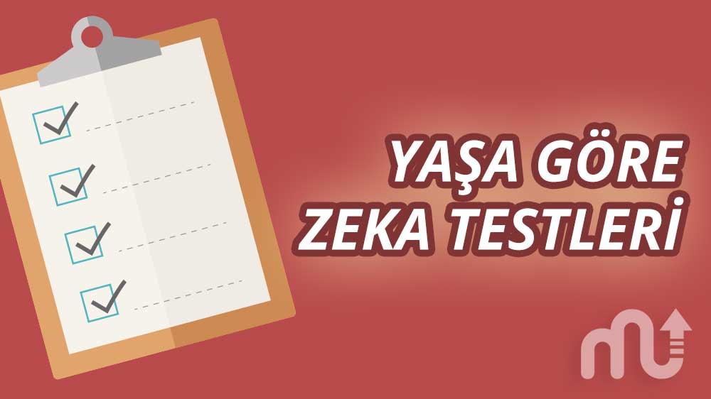 Zeka testi