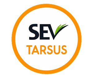 SevTarsus